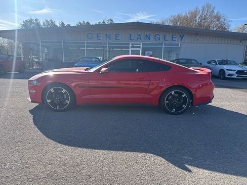 Used 2021 Ford Mustang GT Premium w/ Equipment Group 401A image 1