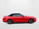Used 2019 Ford Mustang Premium image 4