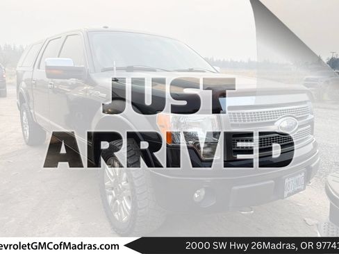Used 2009 Ford F150 Platinum AWD/4WD image 1