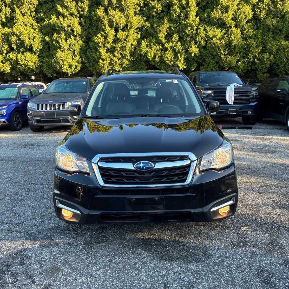 Used 2017 Subaru Forester 2.5i Limited AWD/4WD image 14