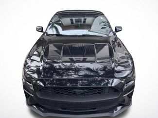 Used 2019 Ford Mustang Premium w/ Ecoboost Performance Package RWD video 2