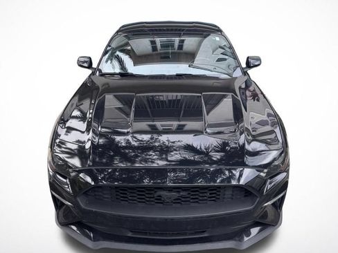 Used 2019 Ford Mustang Premium w/ Ecoboost Performance Package RWD image 2