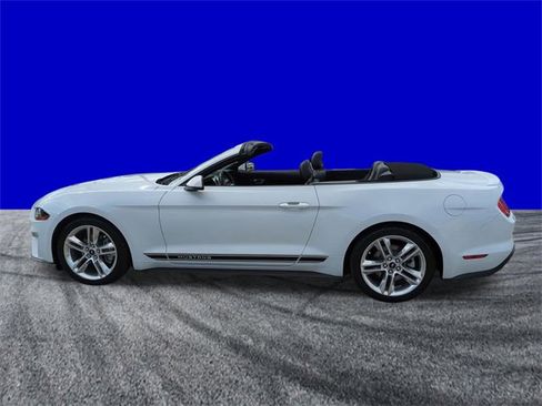 Used 2021 Ford Mustang Premium w/ Equipment Group 201A image 7