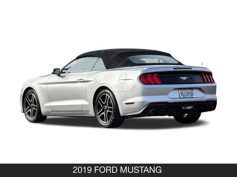 Used 2019 Ford Mustang Premium image 9