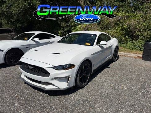 Used 2019 Ford Mustang Coupe RWD image 1