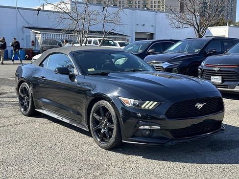 Used 2017 Ford Mustang Premium image 1