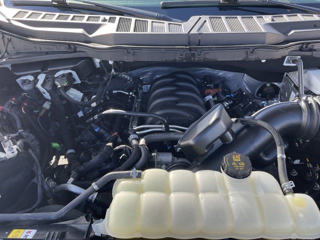 Used 2025 Ford F150 XLT w/ Equipment Group 301A Standard AWD/4WD image 21