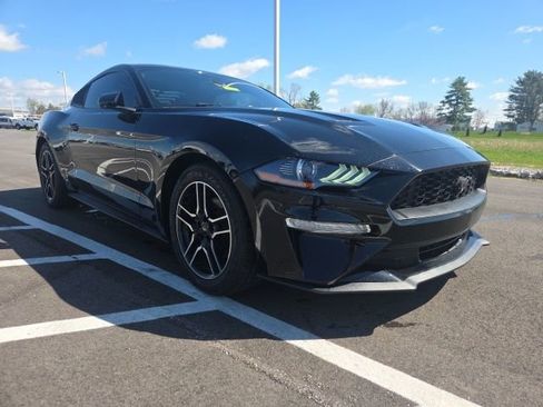 Used 2019 Ford Mustang Coupe w/ Equipment Group 101A image 1