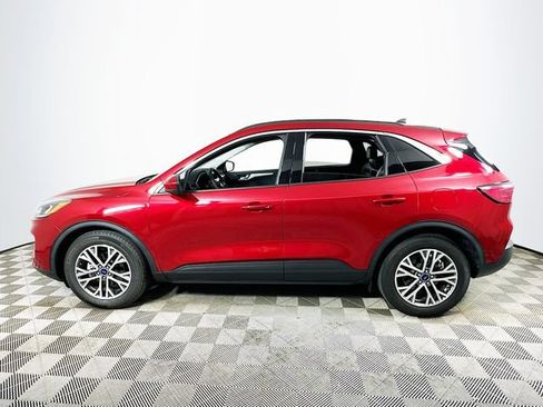Used 2022 Ford Escape SEL FWD image 6