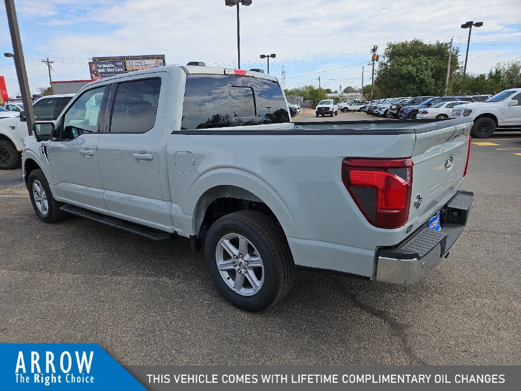 New 2026 Ford F150 XLT w/ Equipment Group 302A MID RWD image 8