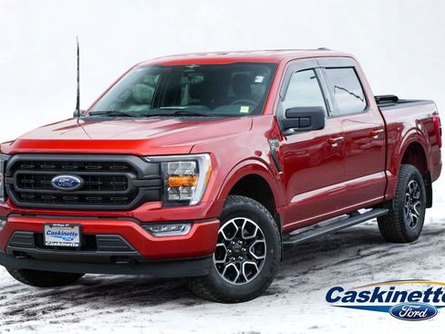 Used 2023 Ford F150 XLT w/ Equipment Group 302A High AWD/4WD image 1