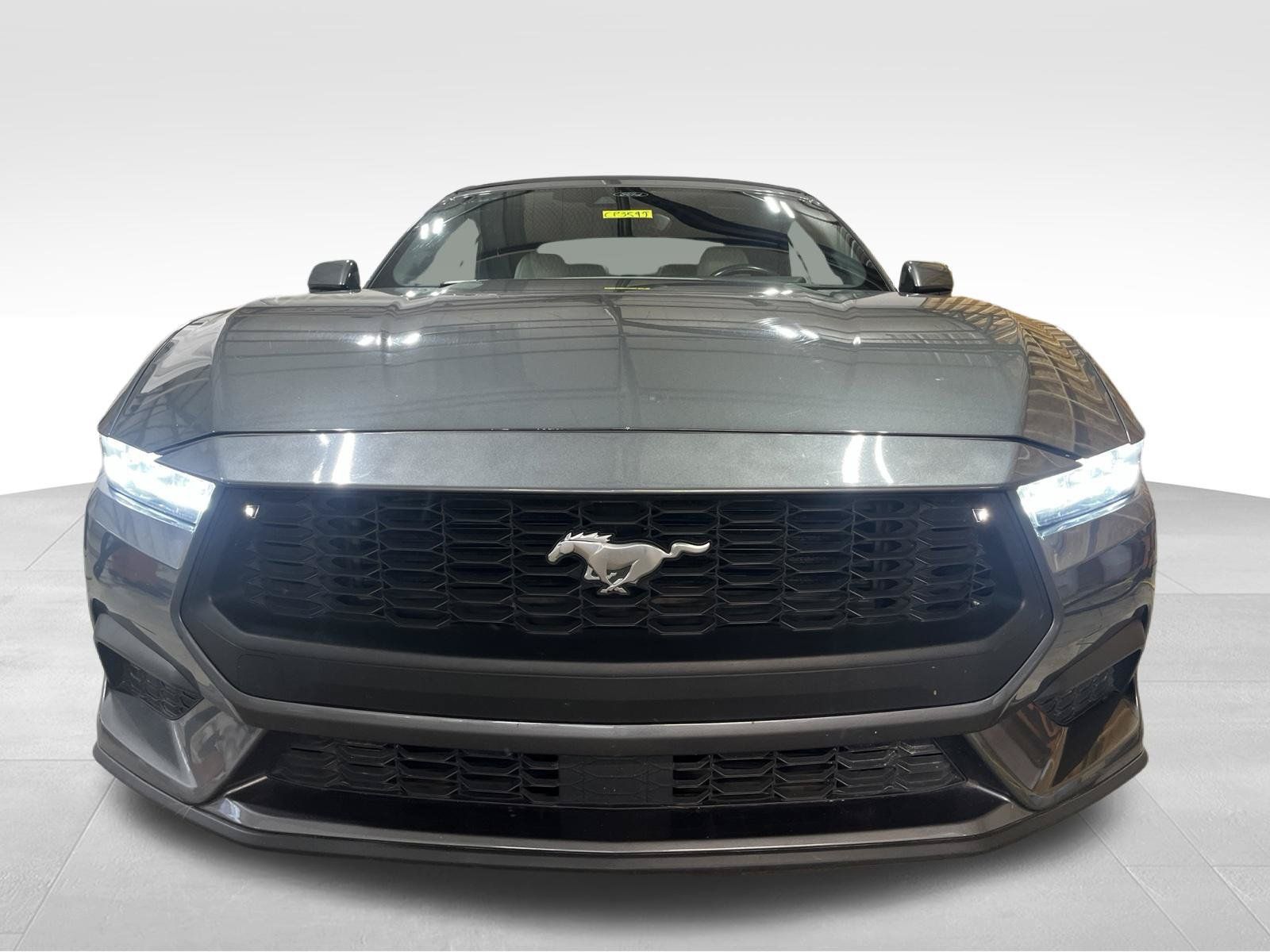 Used 2024 Ford Mustang Premium RWD image 2
