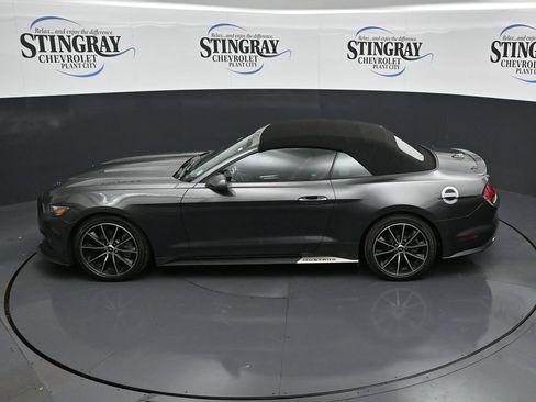 Used 2016 Ford Mustang Premium w/ Wheel & Stripe Package RWD image 21