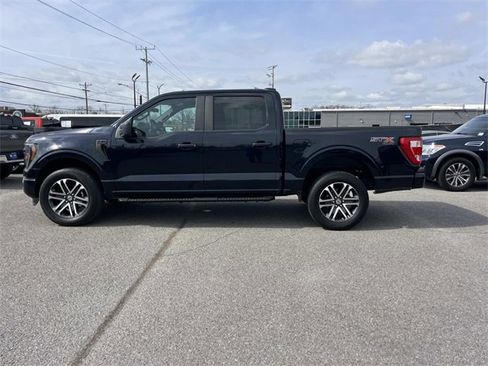 Certified 2023 Ford F150 XL w/ STX Appearance Package image 6