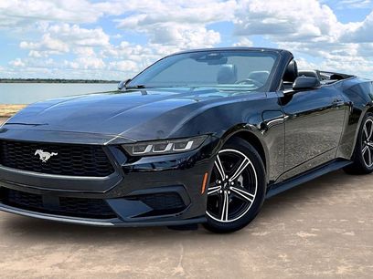 Used 2024 Ford Mustang Premium