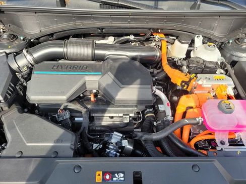 New 2025 Hyundai Santa Fe Calligraphy image 35