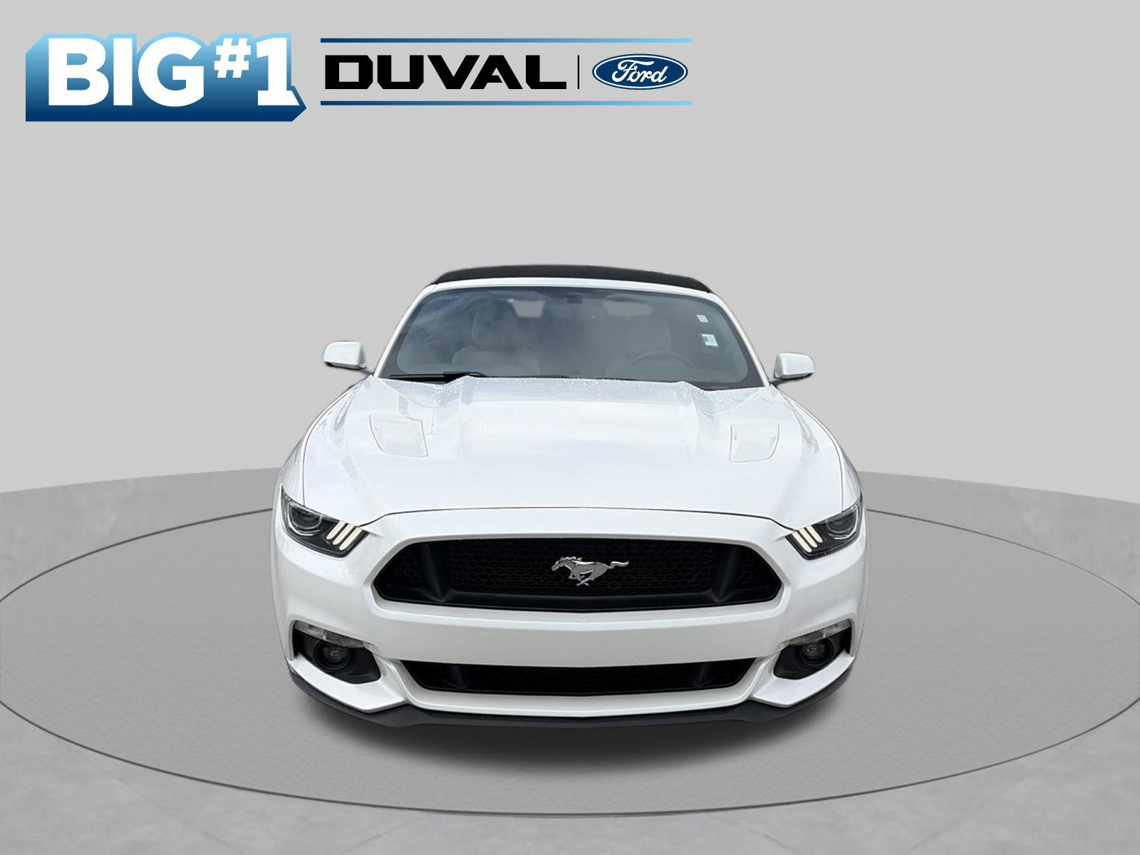 Used 2017 Ford Mustang GT Premium w/ Equipment Group 401A RWD image 5