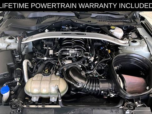 Used 2021 Ford Mustang Mach 1 w/ Equipment Group 700A image 11