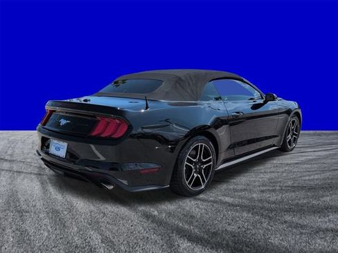 Certified 2019 Ford Mustang Premium RWD image 4