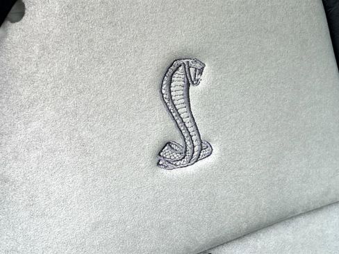 Used 2001 Ford Mustang Cobra image 37