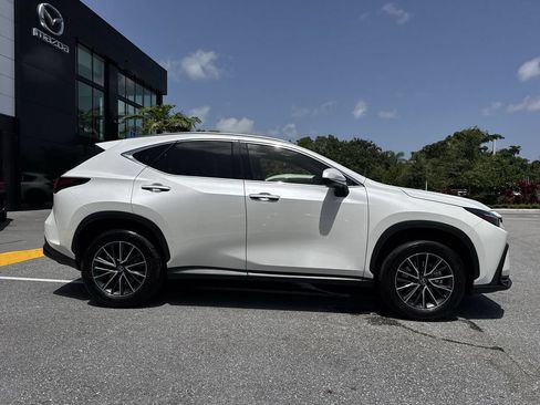 Used 2024 Lexus NX 250 FWD image 23