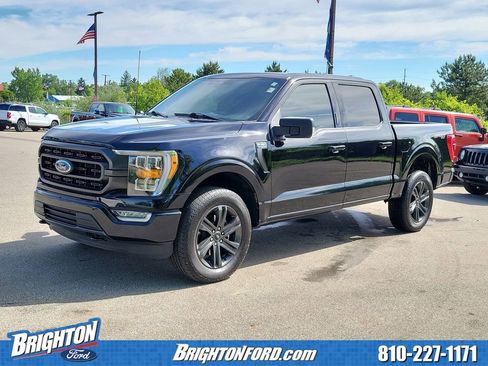 Used 2023 Ford F150 XLT w/ Equipment Group 302A High AWD/4WD image 2