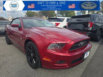 Used 2014 Ford Mustang Premium w/ Equipment Group 202A