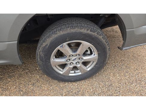 Used 2019 Ford F150 XLT w/ Equipment Group 302A Luxury RWD image 4