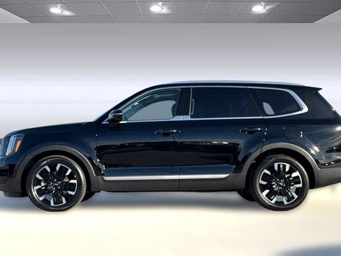 Used 2023 Kia Telluride SX Prestige image 7