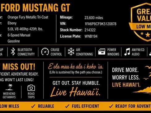Used 2019 Ford Mustang GT w/ Equipment Group 301A RWD image 2