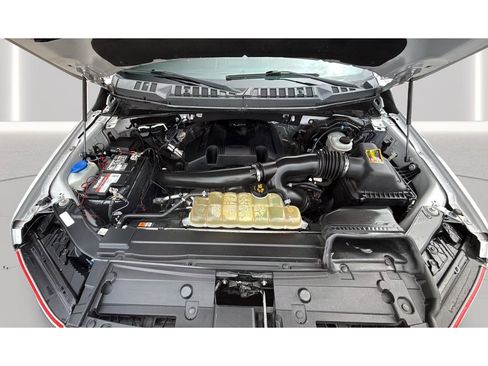 Used 2019 Ford F150 XLT w/ Equipment Group 302A Luxury AWD/4WD image 26