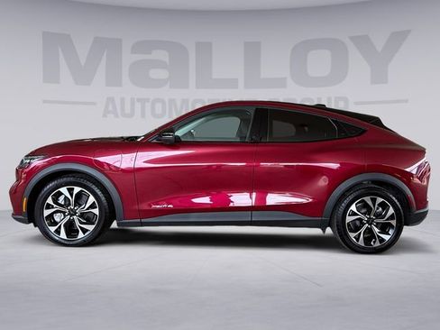 Used 2025 Ford Mustang Mach-E Select w/ Comfort Package Lite image 2