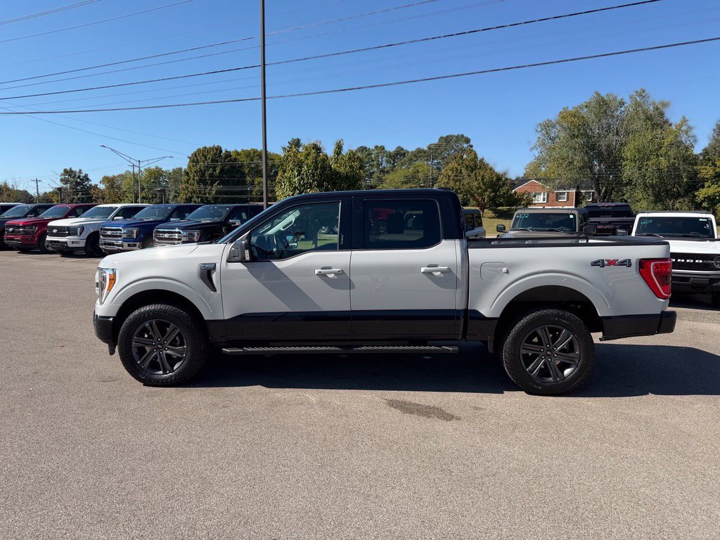 Used 2023 Ford F150 XLT w/ Equipment Group 302A High AWD/4WD image 4