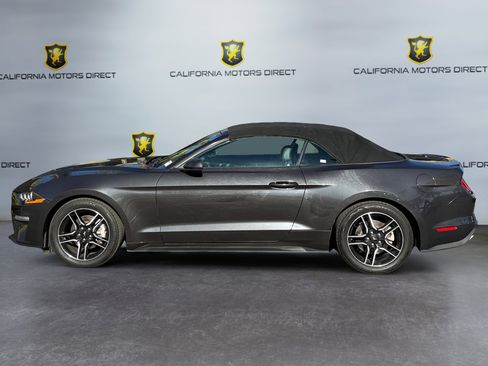 Used 2023 Ford Mustang Premium image 2