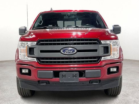 Used 2019 Ford F150 XLT w/ Equipment Group 302A Luxury image 5