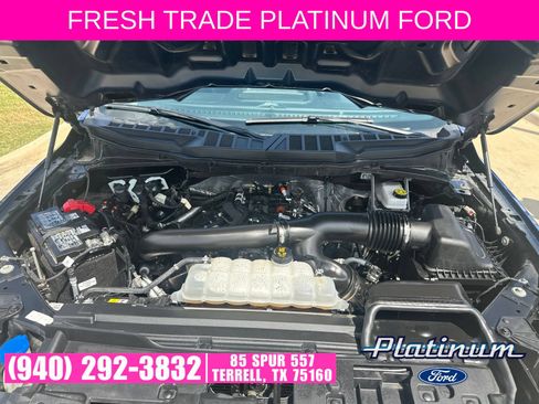 Used 2025 Ford F150 XLT w/ Equipment Group 301A Standard AWD/4WD image 22