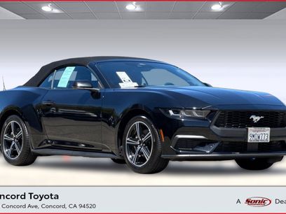 Used 2024 Ford Mustang Premium