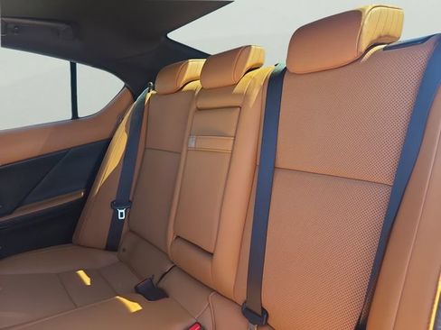 Used 2024 Lexus IS 350 F Sport w/ Accessory Package 2 RWD image 6