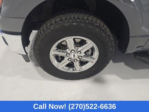 Used 2025 Ford F150 XLT w/ Equipment Group 301A Standard image 4