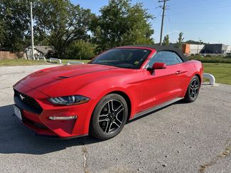 Used 2018 Ford Mustang Premium w/ Equipment Group 201A image 1