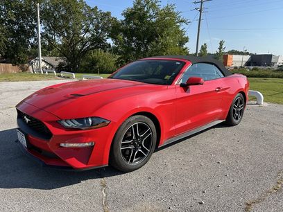 Used 2018 Ford Mustang Premium w/ Equipment Group 201A