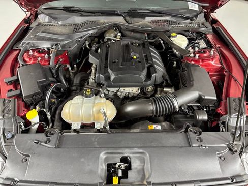 Used 2017 Ford Mustang Premium w/ Equipment Group 201A image 44