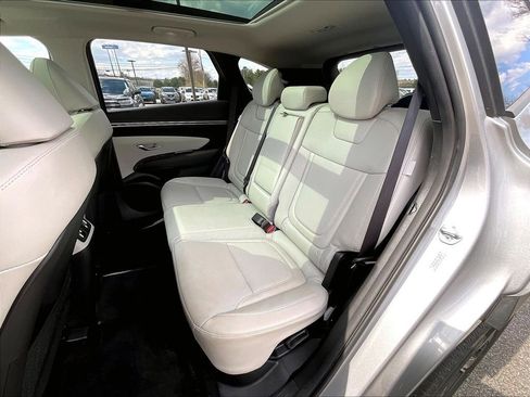 Used 2024 Hyundai Tucson Limited AWD/4WD image 14