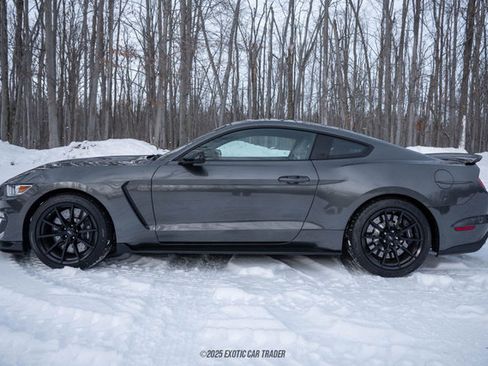 Used 2015 Ford Mustang Shelby GT350 image 3