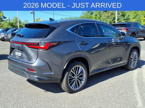 Used 2026 Lexus NX 350 AWD w/ Cold Area Package image 7