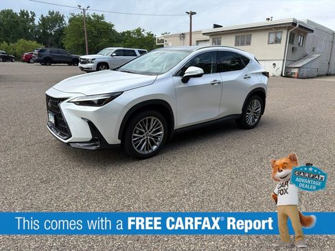 Certified 2024 Lexus NX 350 AWD w/ Vision Package image 2
