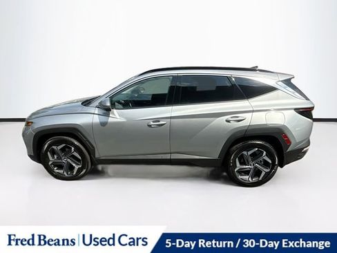 Used 2024 Hyundai Tucson Limited AWD/4WD image 5