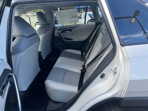 New 2025 Toyota RAV4 XLE Premium image 19