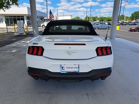 Used 2025 Ford Mustang Premium RWD image 5