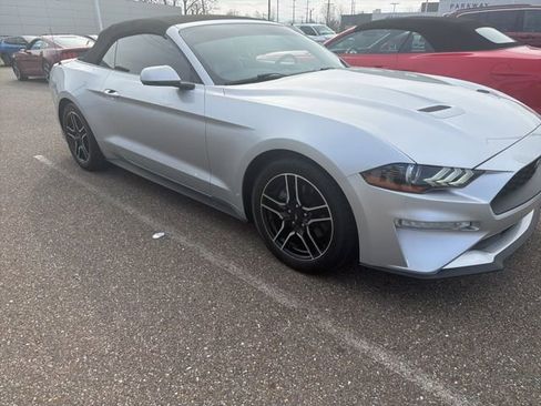 Used 2018 Ford Mustang Premium image 2
